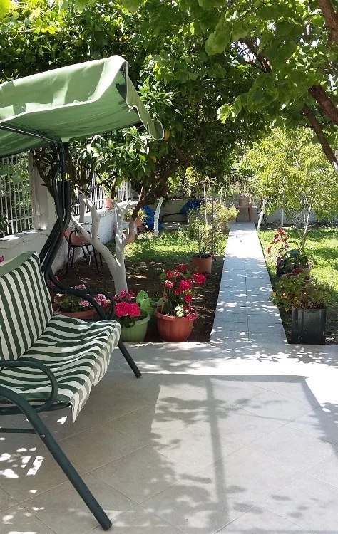 Backyard 1