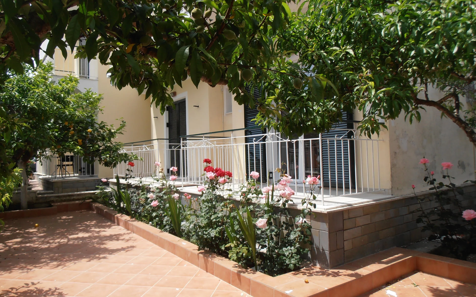 Elenas garden kavos 3