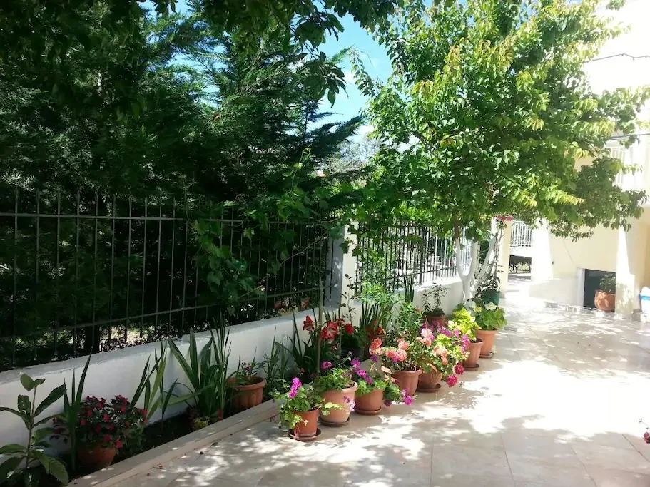 Elenas garden superiorstudio 2 03