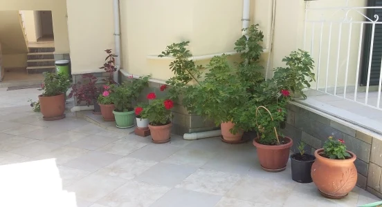 Yard with flowers
