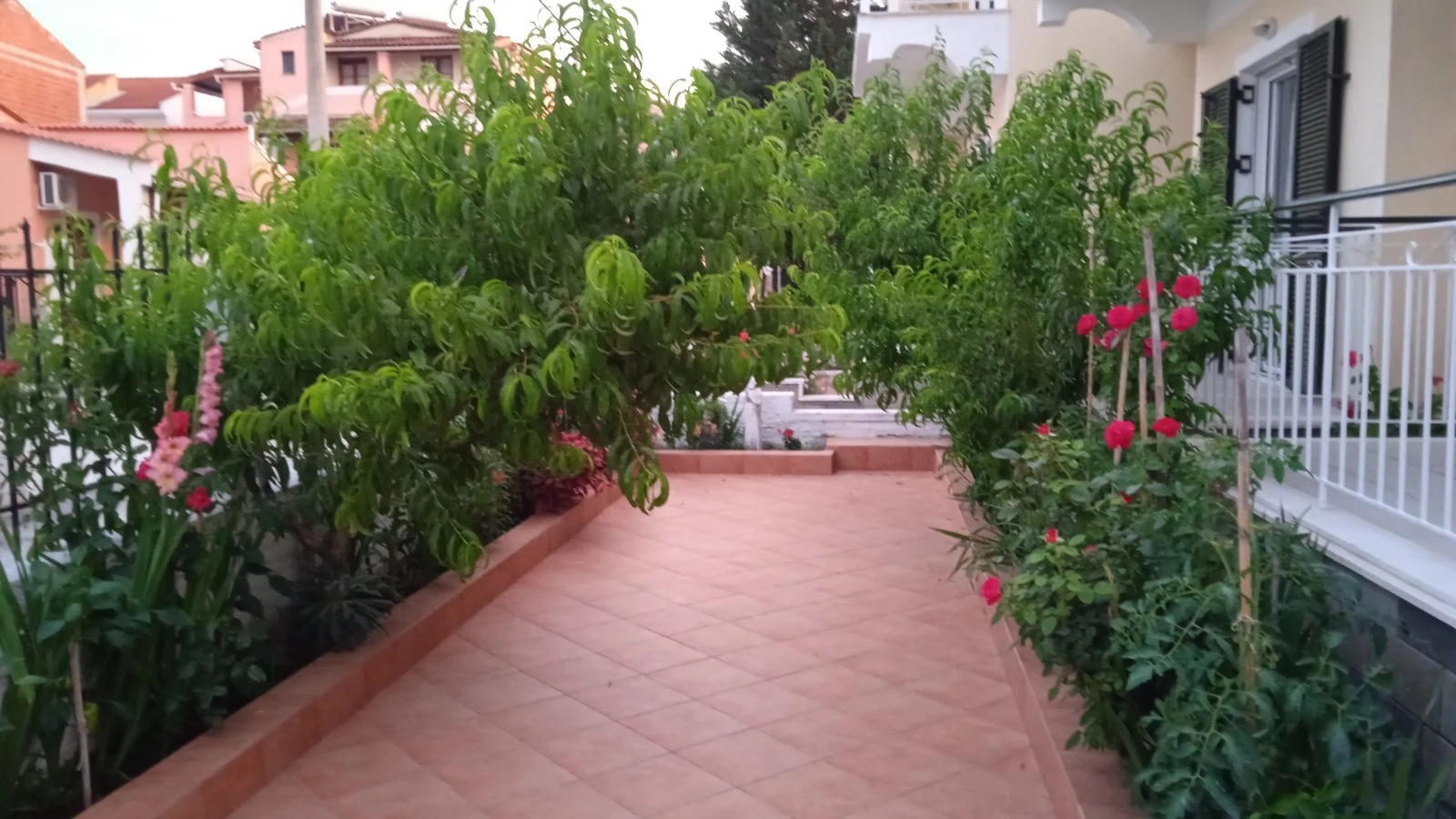 Elena039s garden 1000003764